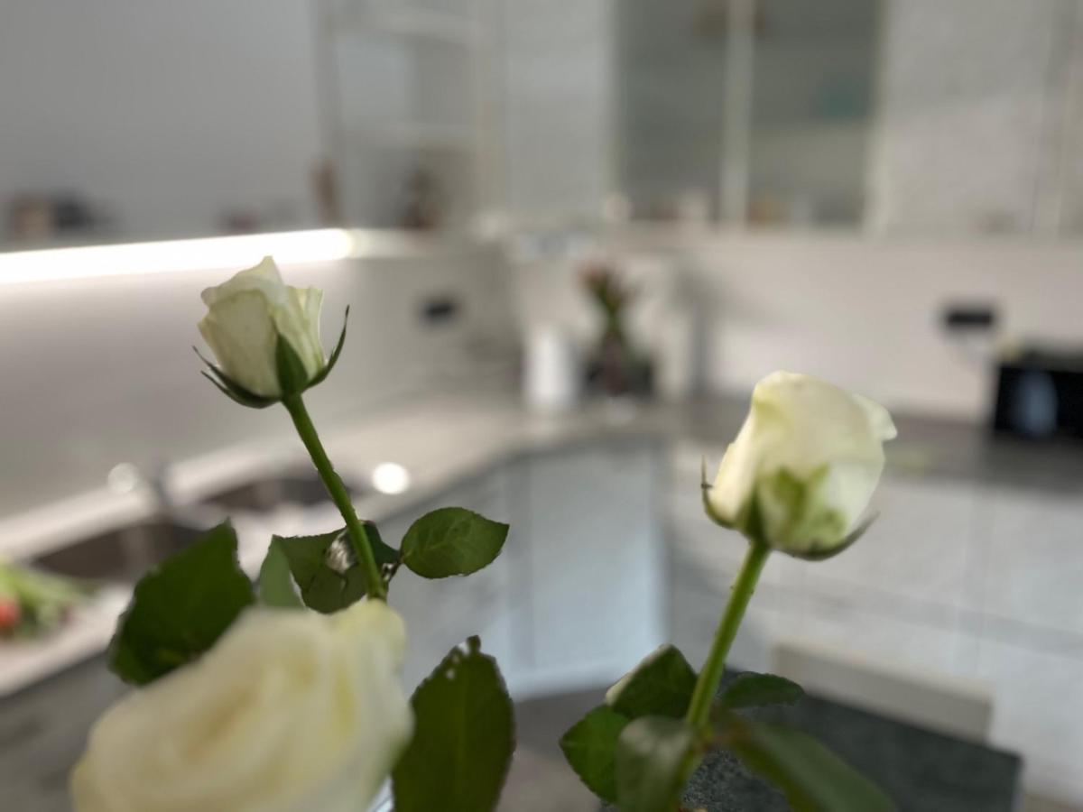 Apartma Ksela Mala Nedelja Eksteriør billede